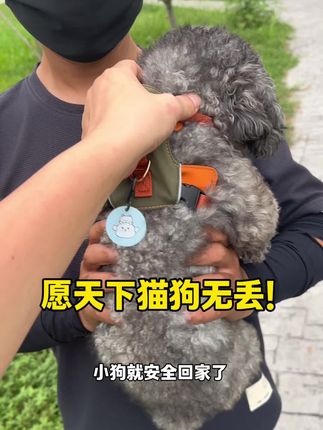 个位数啊!猫狗多功能防丢牌啊!这可是养宠家庭人手一块的宝贝啊!#养狗经验分享 #宠物防丢牌 #猫狗防丢牌 #猫狗防丢 #宠物防丢