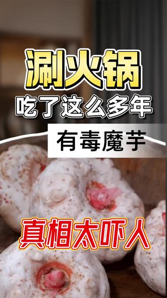 惊呆了!原来我们天天涮火锅必吃的魔芋,竟然天生自带剧毒!
很多人吃了一辈子魔芋丝、魔芋豆腐,居然都被蒙在鼓里!新鲜生魔芋块茎,含有大量草酸钙针晶和生物碱,绝对不能生吃!一旦直接啃食,口舌发麻、喉咙刺痛,严重还会恶心反胃,损伤肠胃黏膜!
那为啥我们平时吃魔芋一点事没有?秘诀全在脱毒处理上!
古人早就懂用草木灰、石灰水浸泡,再加长时间高温熬煮分解毒素;现代工厂更是标准化提纯、高温灭菌,彻底去掉有害成分。
加工后的魔芋零脂肪、高膳食纤维,饱腹感直接拉满,减脂、控糖、涮火锅都超合适!
温馨提醒:路边野生生魔芋千万别采摘生吃,认准正规厂家加工成品,吃得健康又安心!#魔芋有毒#科普#魔芋#生魔芋有毒#火锅食材
