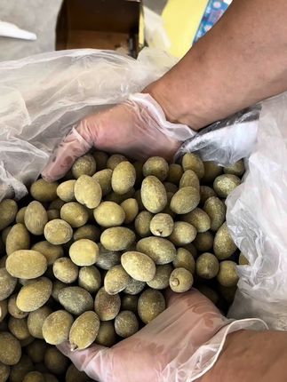 新的咸橄榄#农产品 #土特产 #农副产品 #咸橄榄