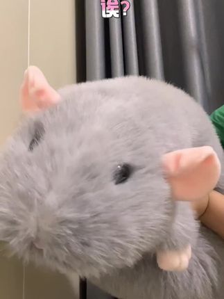 抓住了❗南方的大大大大大大大大耗子🐭,#花枝鼠 #玩偶 #毛绒玩具 #玩一个很新的东西 #新奇特创意