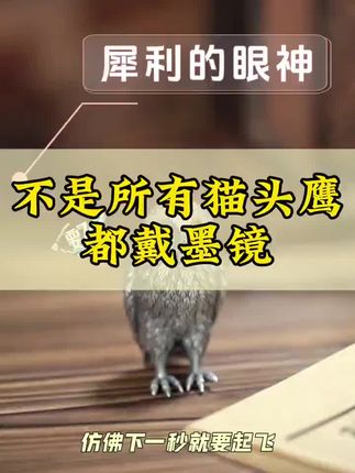 桌上放上这样的猫头鹰银摆件,感觉气场都被拿捏了#银摆件 #猫头鹰 #猫头鹰摆件 #银器 #银摆件