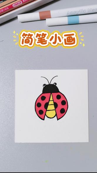 第50集|今日份打卡-七星瓢虫~✍👍 #简笔画#跟着抖音学画画#我要上热门 #涨粉一千万 #流量扶持 @抖音小助手 @生活服务热点中心