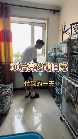 00后养鹦鹉日常 #鹦鹉 #牡丹鹦鹉#00后养殖 #日常饲养管理