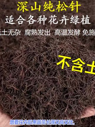 纯天然纯松针无土腐熟发酵兰花月季花杜鹃蓝莓茶花专用酸性营养土#纯松针无土2斤起#松针土