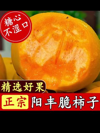 【冰糖心巧克力脆柿】2025年新鲜采摘香甜多汁山西阳丰脆柿果园直发