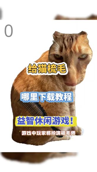 @光环助手APP #光环助手 给猫梳毛哪里下载教学 给猫梳毛安卓最新版下载教程 #给猫梳毛 #休闲游戏 #益智游戏 #搞怪游戏