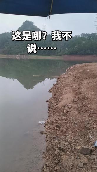 今天终于轮到我了,,,