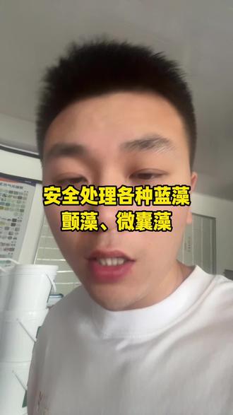 雨后蓝藻爆发处理不了的用净蓝2号就行了#水产养殖 #大闸蟹养殖 #对虾养殖 #河蟹养殖 #螃蟹养殖