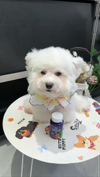 狗狗经常歪腿坐啃脚,可能是关节不舒服,这个钙片一定要吃起来#科学养宠攻略#狗狗#钙片