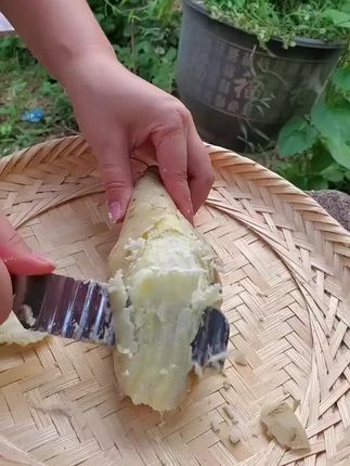 牛奶人参薯,干面粉甜,口感香甜# #人参薯茶