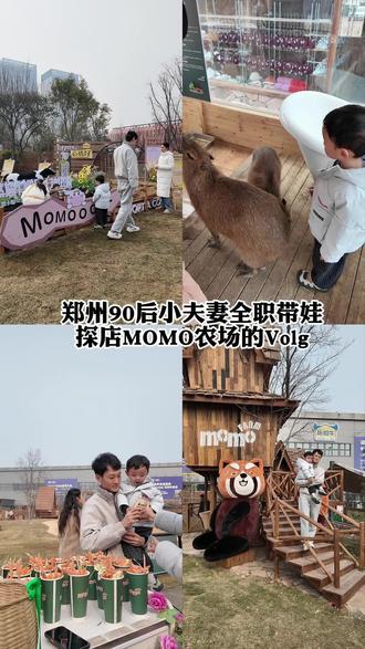 #郑州探店打卡 等了很久的#momo城市农场 终于开业啦 就在家门口 必须打卡#90后带娃 #90后小夫妻