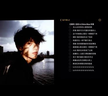 和 @张不明zZ 一起 #合拍 声音变老了#泪桥 #伍佰 #翻唱#热门