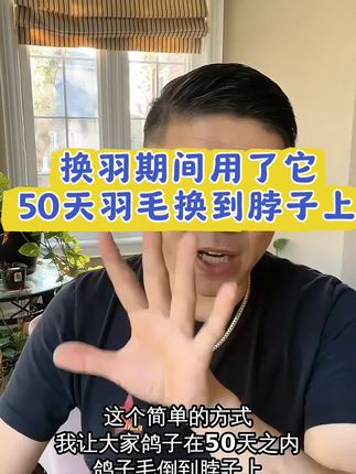 换羽期间用了它50天羽毛换到脖子上#信鸽赛鸽#职业赛鸽#新疆翻翻#鸽子养殖技术#鸽子换羽