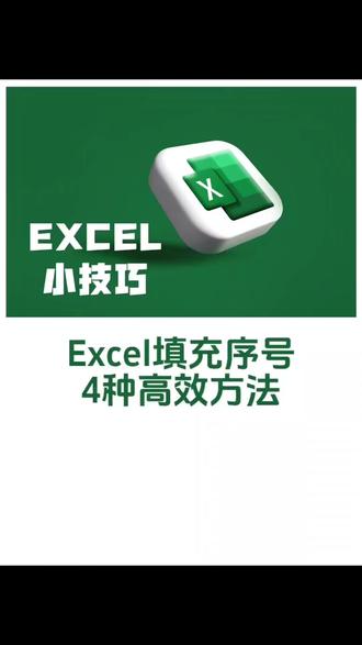 Excel四种填序号方法,职场高手都在用#小白学习excel #创作者中心 #创作灵感 #excel操作技巧 #excel数据处理技巧
