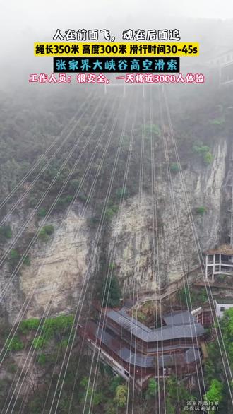 人在前面飞,魂在后面追
#高空滑索 #张家界大峡谷高空滑索 #惊险刺激