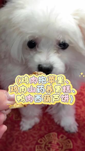 💫鸡肉抱苹果
红苹果裹上优质鸡胸肉,满满的饱腹感,双重口感,蛋白+膳食纤维的巧妙结合✨✨✨
💫 山药苹果养胃糕
山药富含多种营养物质,狗狗适量吃山药有助于健脾养胃、助消化、促进肠胃蠕动和大脑分泌脱氢表雄酮,对狗狗的消化和心情有益。✨✨
💫 西葫芦鸭肉饼
富含维生素的西葫芦➕香甜降火的鸭肉
帮助补充维生素的同时还能清热降火缓解泪痕哦✨
#宠物狗狗 #宠物零食 #烘干零食 #零食 #比熊