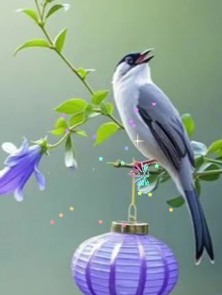 铁棍山药新鲜精品软糯香甜营养高5斤装原产地垆土山药60-70   #铁棍山药 #好吃不贵经济实惠 #垆土铁棍山药 #好物推荐🔥