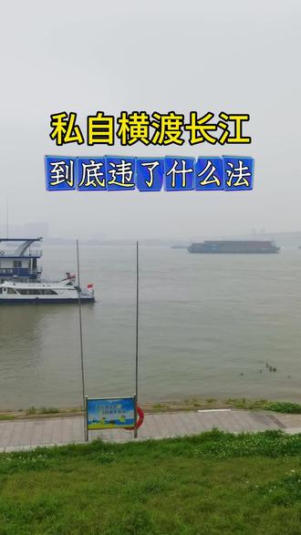 私自横渡长江,到底违了什么法?#游泳#公开水域游泳#横渡长江#普法#真实生活分享官