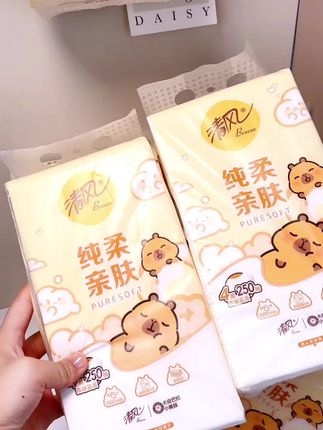 清风挂抽纸,整箱震撼来袭!10提大容量,每提250抽,4层加厚设计,给你更厚实的触感。卡皮巴拉元素增添趣味,悬挂式方便取用,卫生纸新选择,不容错过!#清风品牌 #挂抽设计 #整箱包装 #加厚纸张 #大容量装