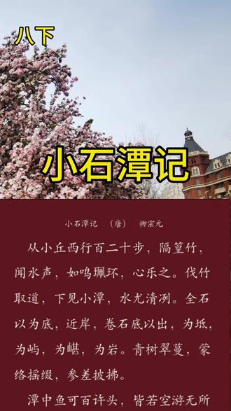 八年级下册古文,小石潭记。
#八年级下册语文 #小石潭记 #朗读