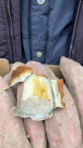 新鲜的哈蜜白薯来了! 现在年货节还有活动!抓紧几年时间了!#哈蜜白薯 #年货节