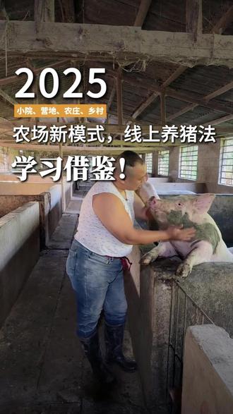 颠覆养猪模式!线上认养未出生入账3000万,远程互动太吸客 #景合文旅 #认养农业 #线上养猪 #创新盈利 #千万营收模式