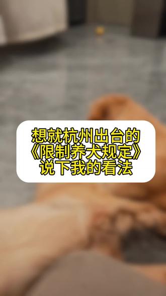 养狗问题#养狗 #政策 #杭州 #杭州养犬新规