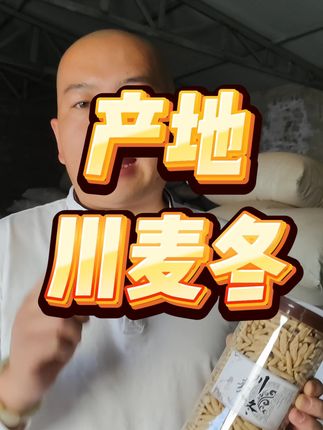 正宗有芯川麦冬,无硫熏,产地好货,好的川麦冬表面呈黄白色或灰黄色,半透明且带有自然光泽,断面呈黄白色或淡黄色,中心有细小中柱,凑近闻有天然的清香或泥土气息,无刺激性气味,入口清甜带微苦,嚼之粘牙且有糯感;泡水后恢复饱满状态。 #川麦冬 #麦冬 #滋补养生 #带你走进原产地