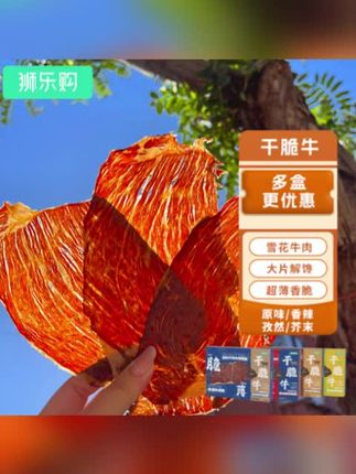 狮乐购干脆牛脆脆内蒙古风干雪花牛肉脆片零食极简配料牛排#蒙古风干牛肉干 #牛肉脆片 #牛肉脆片零食