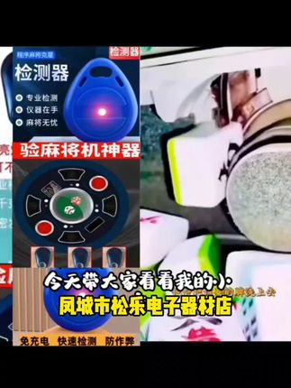 凤城市凤山经济管理区松乐电子器材店的小店