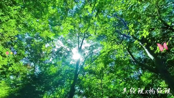 没有认识的配音老师,只能用ai配了#周小闹 #紫薯精 #同人 #配音