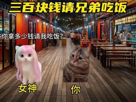 三百块钱请兄弟请吃饭#搞笑 #猫meme #真实