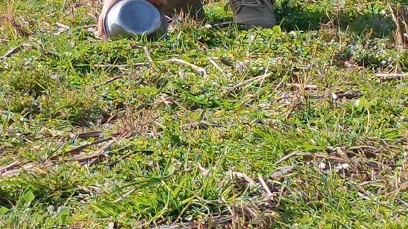 现场解说版“炸狗盆”上线!#我的乡村生活一般人不知道是什么 😂😂