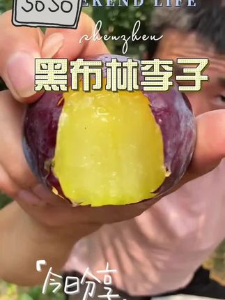 #黑布林李子 #新鲜应季水果 #好吃不贵经济实惠