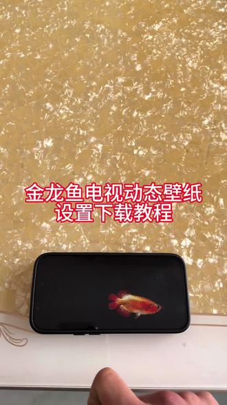 《感受一下》金龙鱼电视屏保设置教程#电视养鱼教程 #电视屏保设置教程 #电视屏保 #金龙鱼电视屏保怎么设置 #小米电视屏保设置