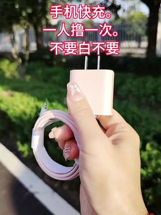 #创作灵感 一人撸一单,快冲呀#快充数据线苹果 #手机数码 #薅羊毛的快乐#超便宜超划算