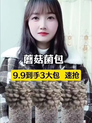 #蘑菇菌包 #菌菇 #家庭种植 #营养丰富 #超便宜超划算