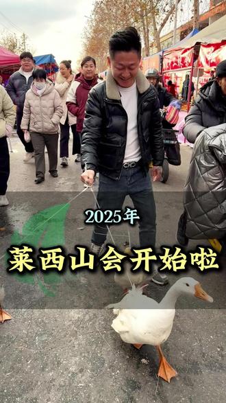 莱西赶山了,赶完莱阳敢莱西、为什么莱阳赶山在莱西前面?#原创视频 #摆摊小吃 #山会
