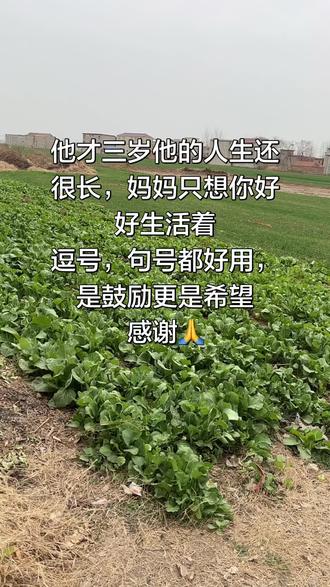 今天去串亲戚哲哲特别的开心,回来之后还不忘康复训练,真的特别棒,加油,越努力越幸运!#特殊孩子的生活日常 #笑容治愈 @DOU+上热门 @DOU+小助手 @创作灵感小助手