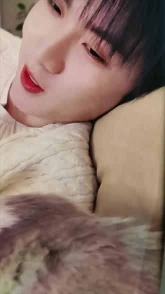 好治愈 混穿猫咪,你说马哥会考虑养猫咪吗?六斤会同意吗?#这个世界不能没有小猫 #谁的怀里还没有一只小可爱 #马嘉祺 #可爱的白色猫咪 @时代少年团-马嘉祺 @DOU+小助手
