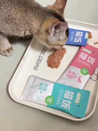 #萌宠 #猫咪增肥食品 #宠物吃货 #宠物 #贪吃猫 超级爱吃得一款主食猫饭,配料干净,营养发腮还便宜哦!