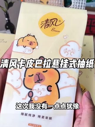 清风挂抽10提卡皮巴拉纸巾整箱悬挂式抽纸4层加厚250抽家用卫生纸清风挂抽10提卡皮巴拉纸巾整箱悬挂式抽纸4层加厚250抽家用卫生纸#抽纸 #悬挂抽纸#四层亲肤柔实力
