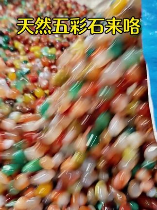 喜欢石头的朋友,有福啦! 这么漂亮的天然五彩石,就是真石头!真的这么漂亮!专门给你铺#鱼缸 ,#花盆 ,#水培植物 ,特别好看!#造景 #实拍