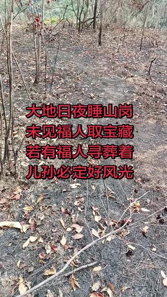 牛眠未知福德厚薄,谁人无术枉费心机!#农村生活