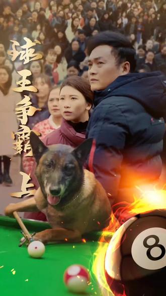 巴图参加台球比赛##狗子成精了