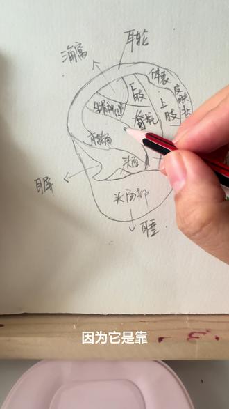 今天都干了些啥,讲真,我中医学院毕业的,我确实没学这些,那不代表以后不会哈