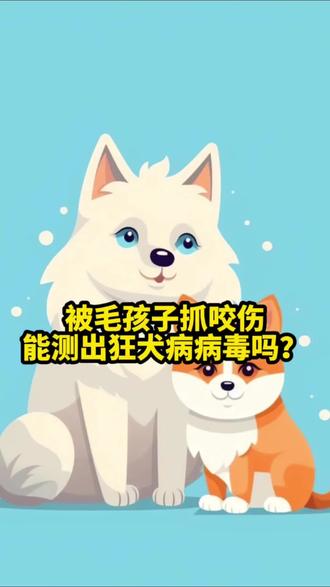 被毛孩子抓咬伤,毛孩子能检测狂犬病吗?一个视频给你讲清楚!#狂犬病能不能检测#狂犬病#君哥聊宠#冷知识科普
