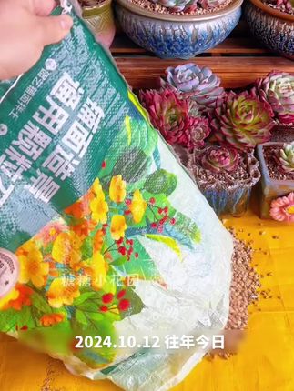 #种植小技巧 #黄金软麦饭石 #黄金软麦饭石多肉铺面 #多肉颗粒土麦饭石 #多肉植物养护小技巧