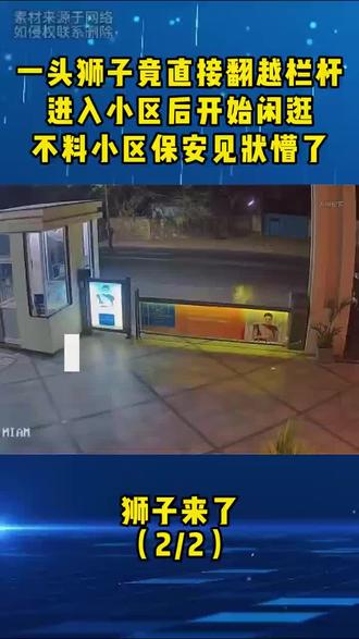 狮子进入小区#监控下的一幕 #万万想不到 #惊险