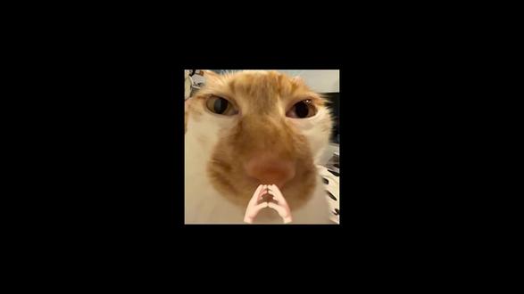 “恋爱谈久了真的会腻吗”#情侣日常 #情侣#恋爱观